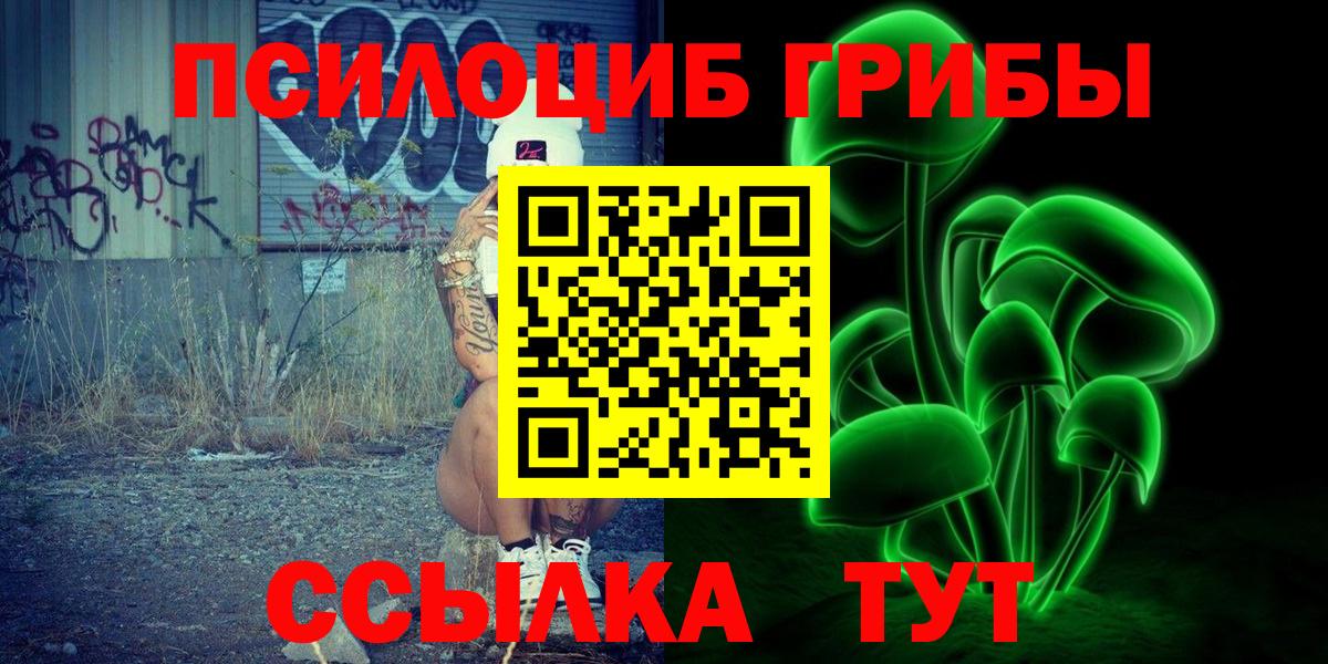 Псилоцибиновые грибы Psilocybe Выкса