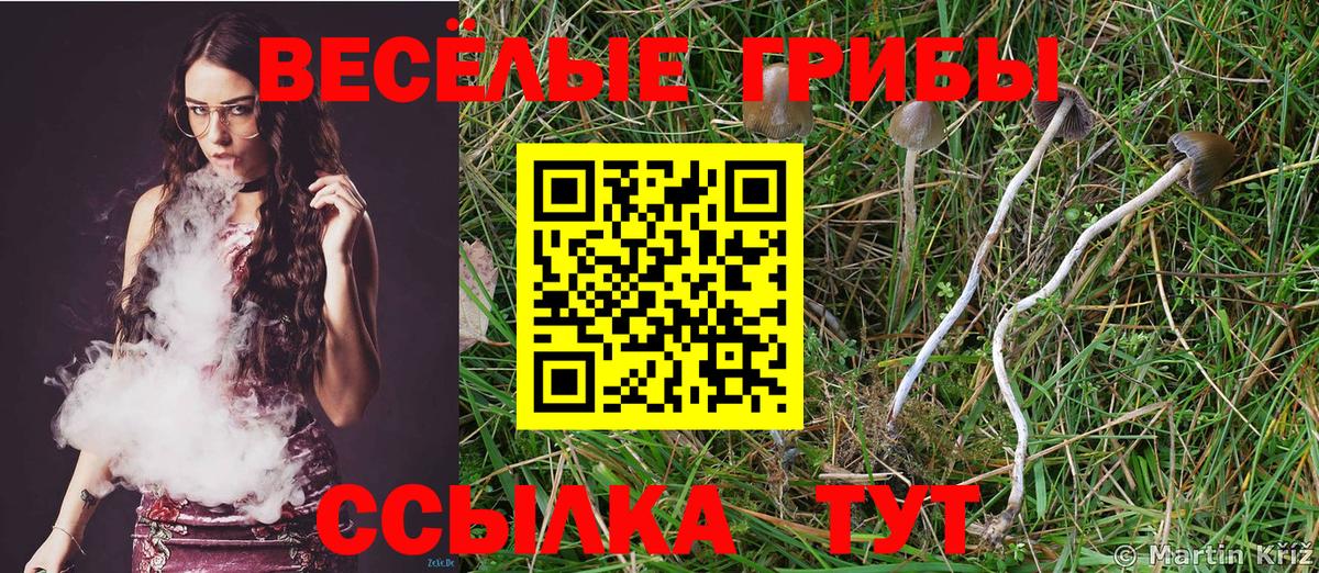 Выкса  Псилоцибиновые грибы MAGIC MUSHROOMS  Вход с VPN 